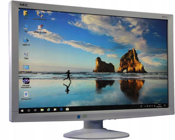 Monitor 24" / NEC